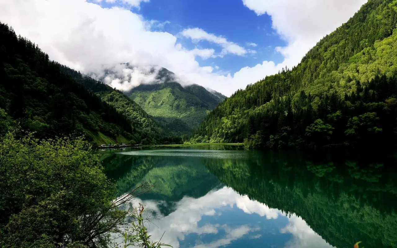 高效可靠性